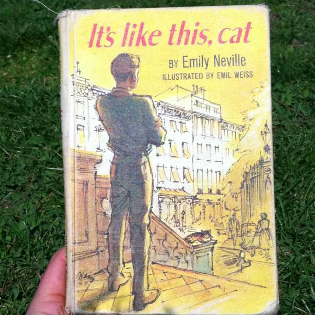 Its Like This, Cat